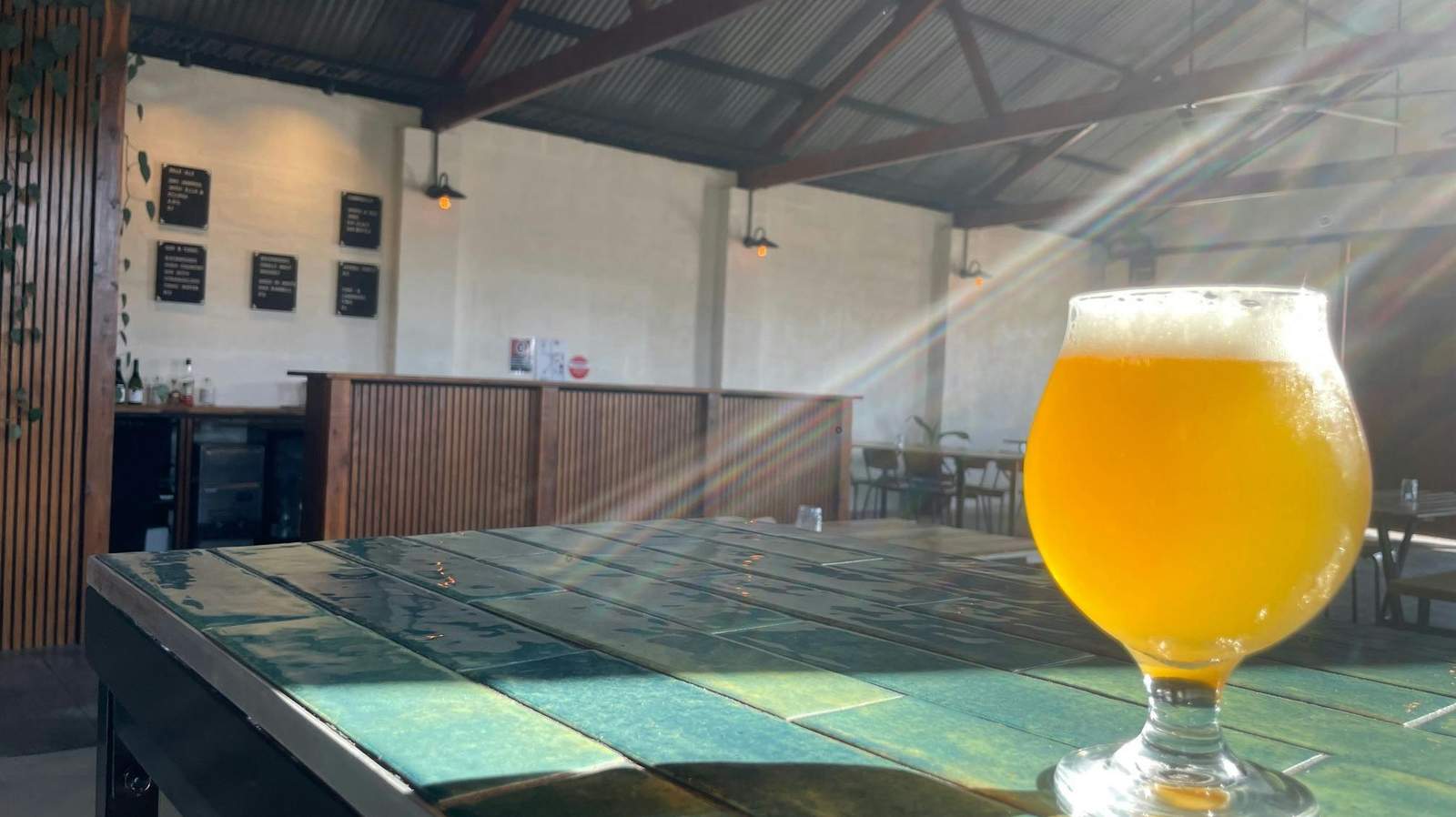 A glass of beer inside the sunlit taproom